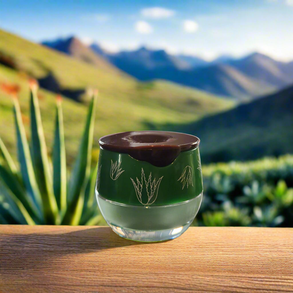 Hydrating Honey Propolis Lip Balm Collection