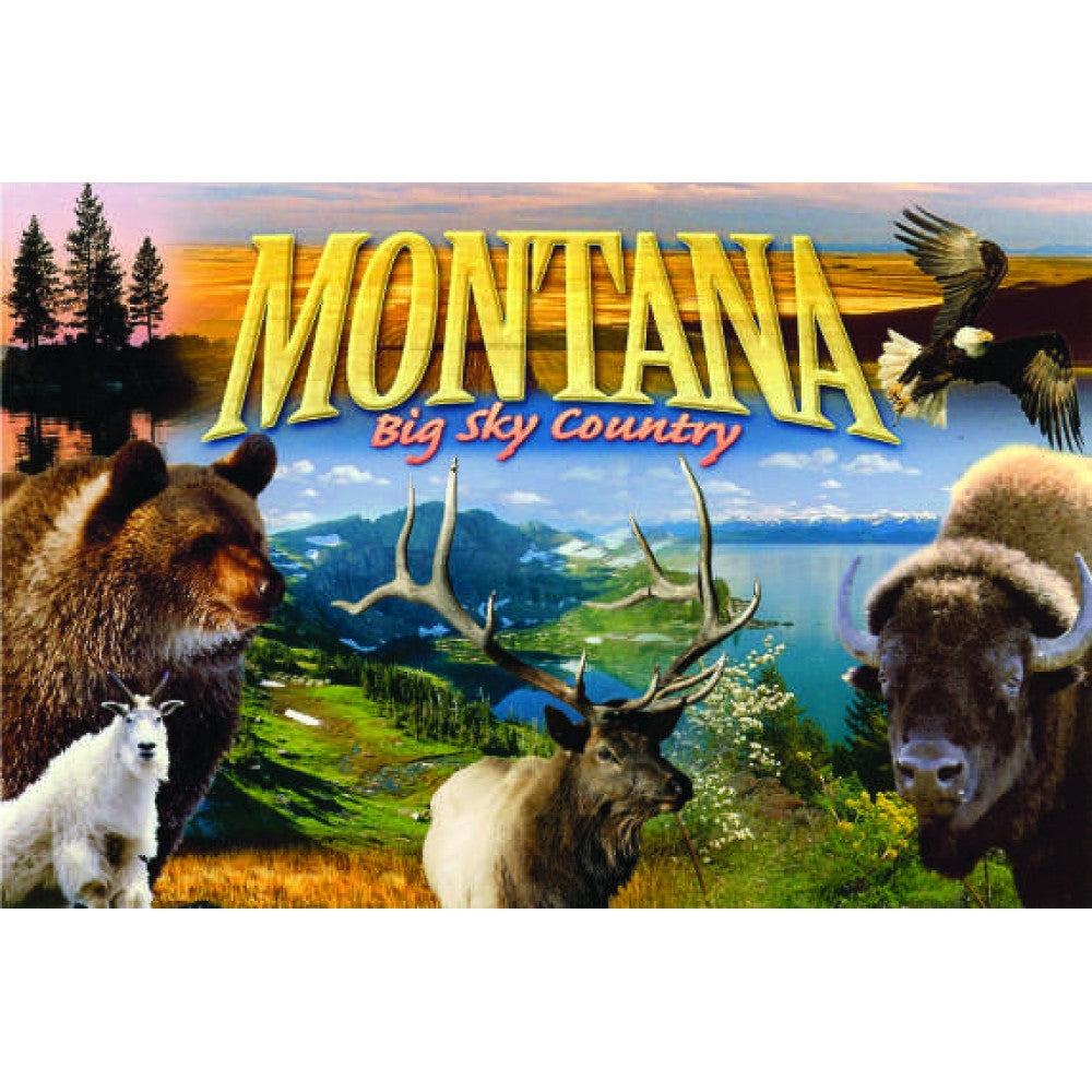 Montana Big Sky Country Collage Postcard