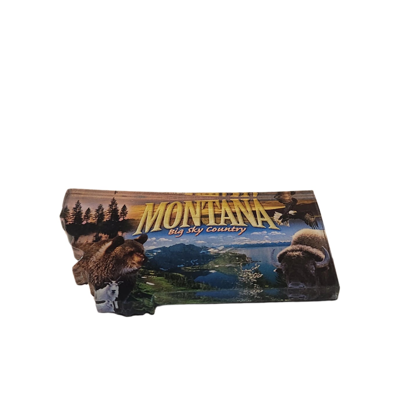 Montana Big Sky Country Magnet