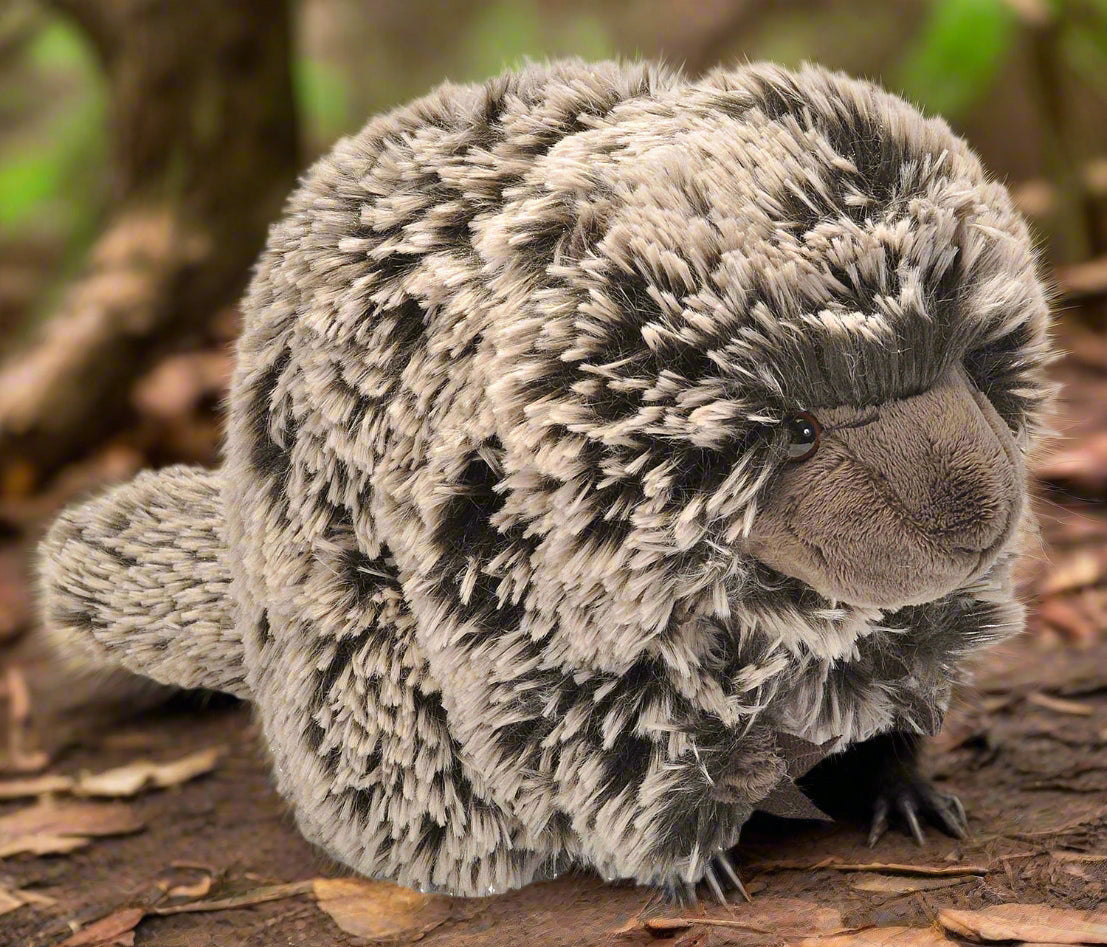 Ck Porcupine Stuffed Animal 12"