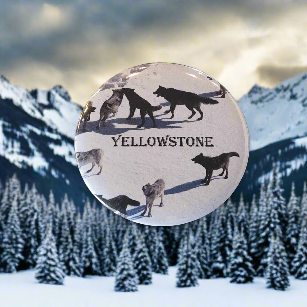 Yellowstone Wolf Pack - Button Pin Souvenir (WS)