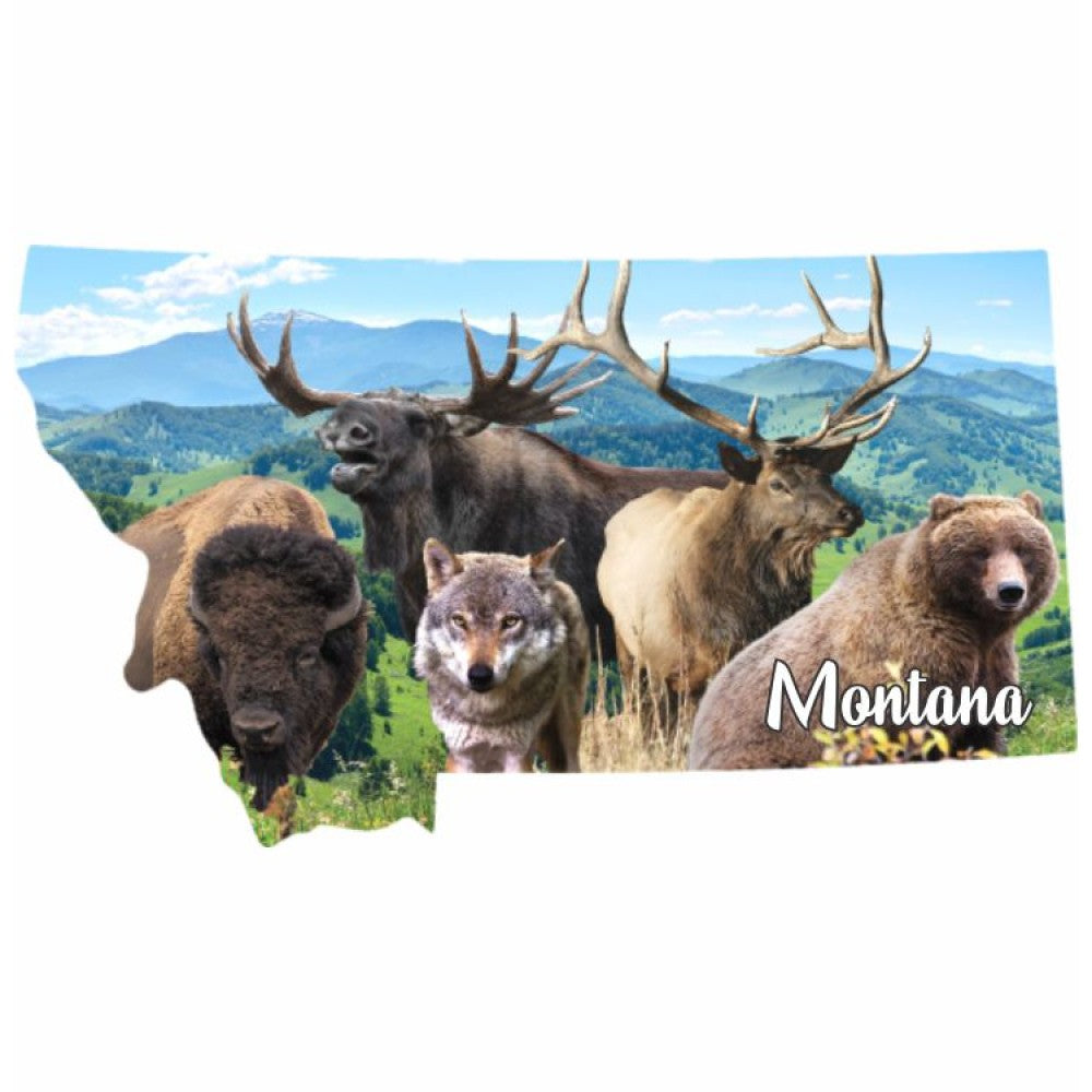 Montana 5 Animal Magnet