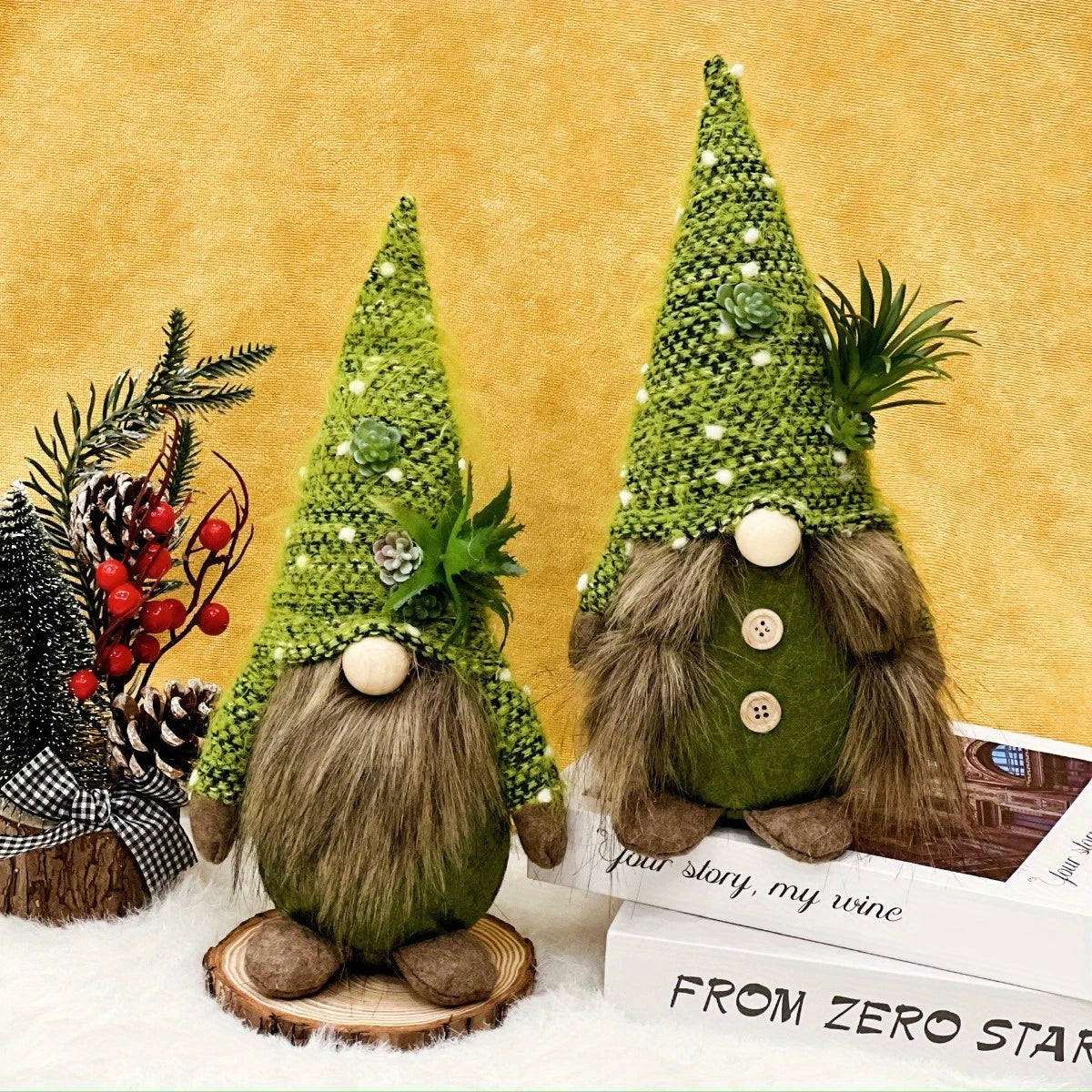 Charming Succulent Gnome