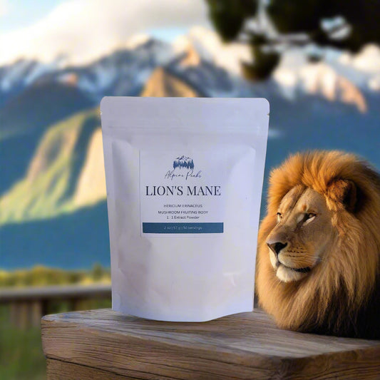 Lion's Mane Mushroom Powder