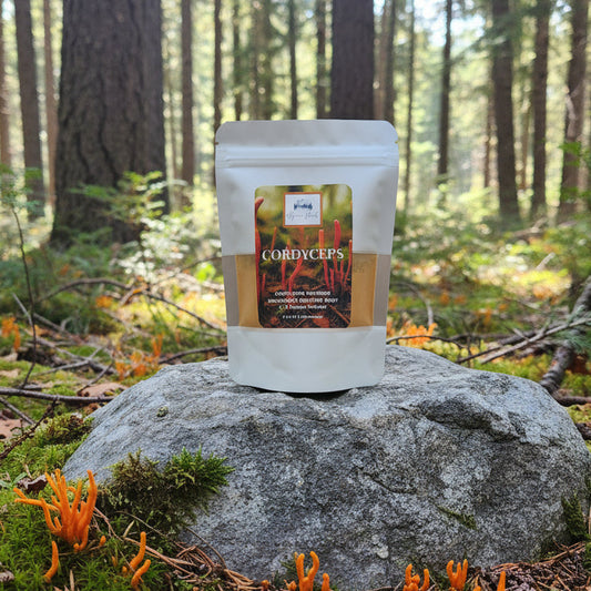 Cordyceps Mushroom Powder - Organic
