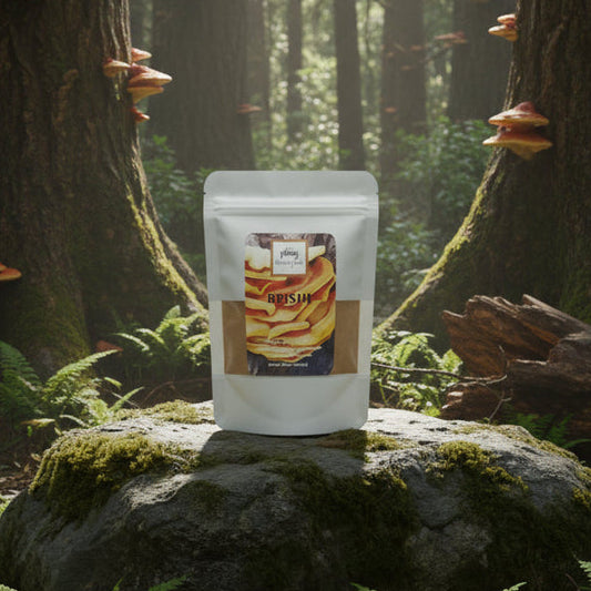 Reishi Mushroom Powder - Organic