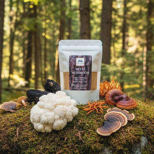 Multi Mushroom Powder - Organic