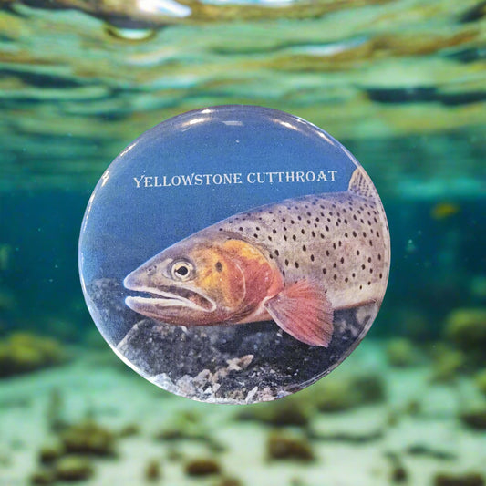 Yellowstone Cutthroat Trout - Button Pin Souvenir