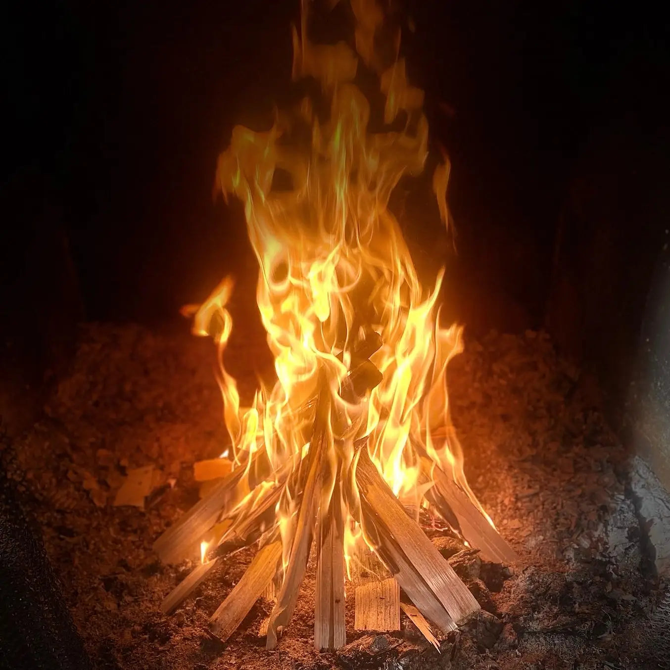 Beeswax Firestarter Biscuits