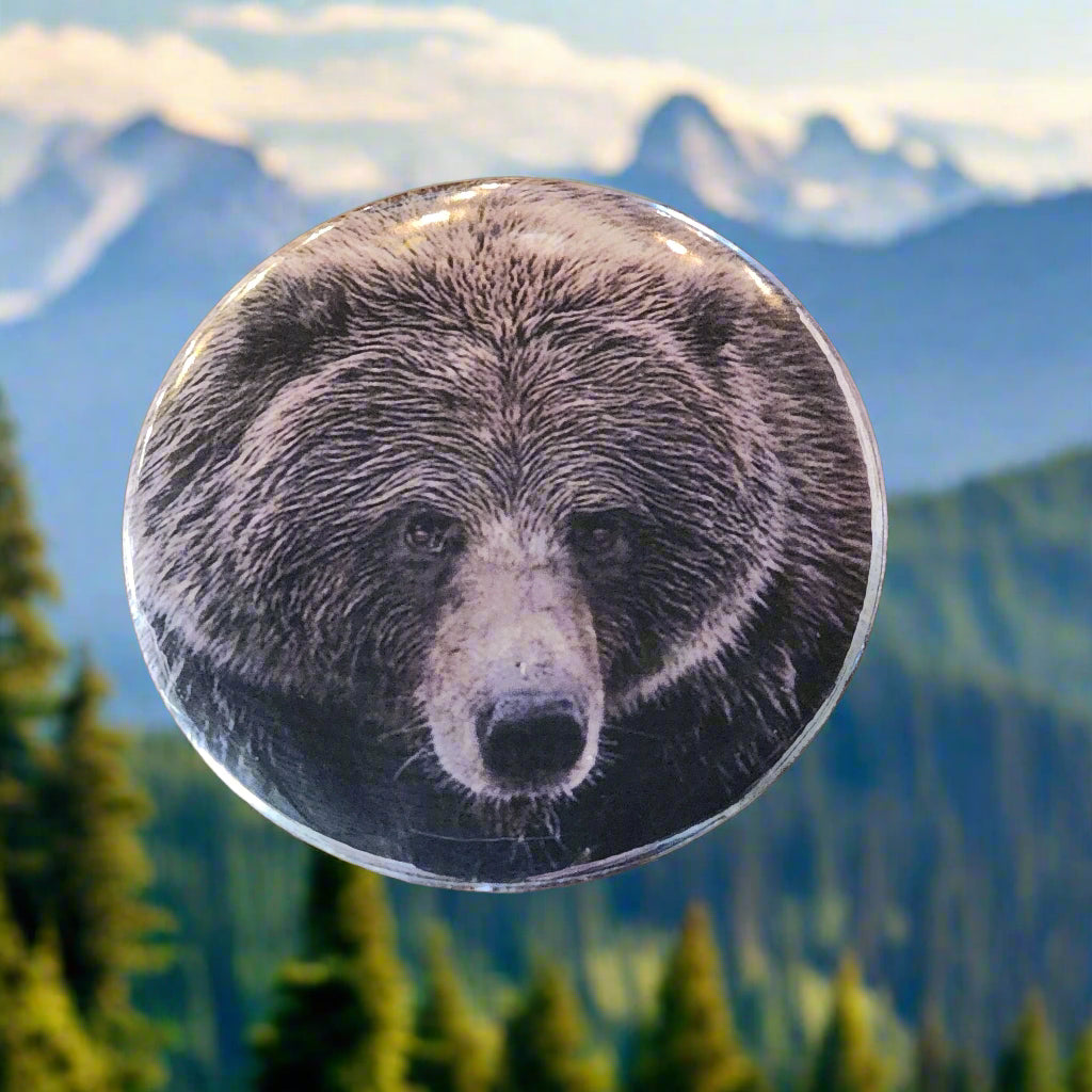 Yellowstone Grizzly Bear - Button Pin Souvenir