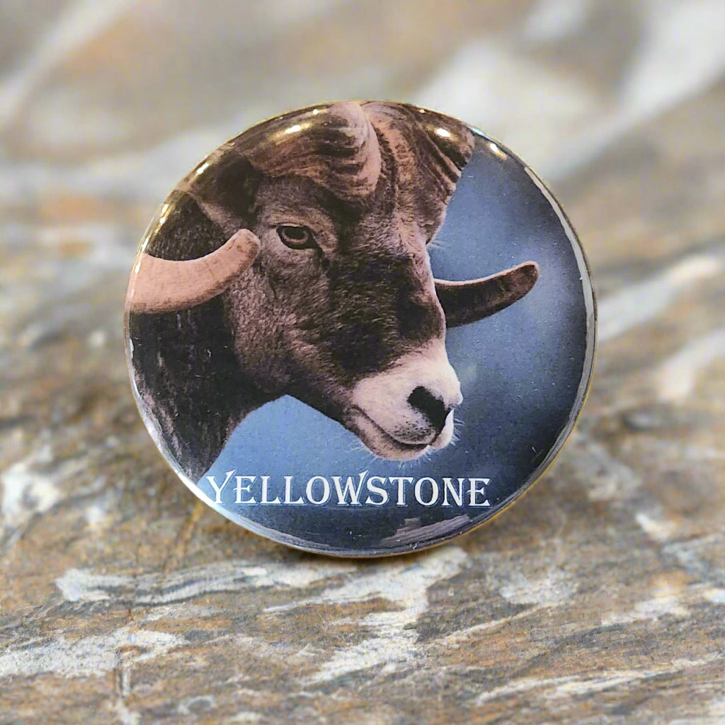 Yellowstone Big Horn- Button Pin Souvenir