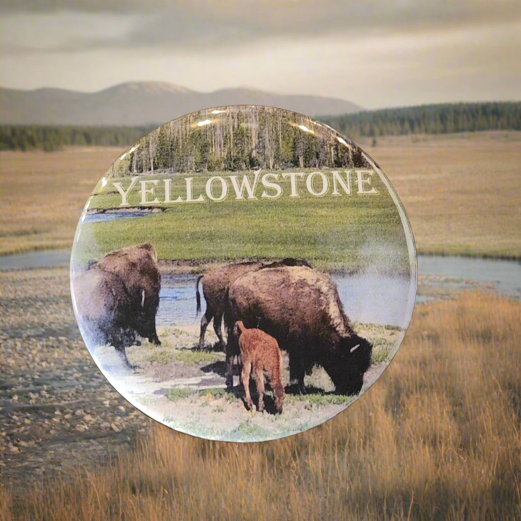 Yellowstone Buffalo & Calf - Button Pin Souvenir