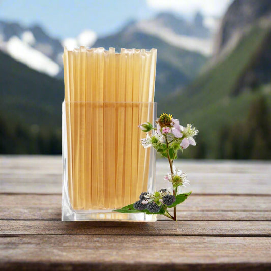 Blackberry Blossom Honey Sticks - Pack of 12