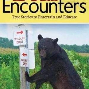 bear encounters book