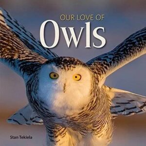 owls book
